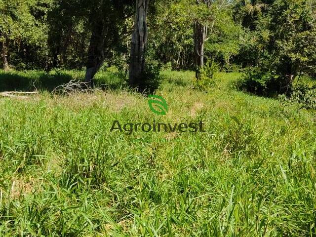 Fazenda para Venda em Faina - 4