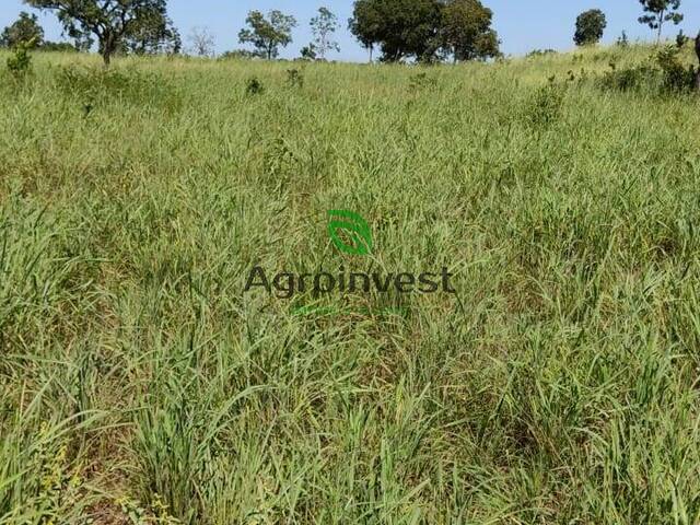 Fazenda para Venda em Faina - 5