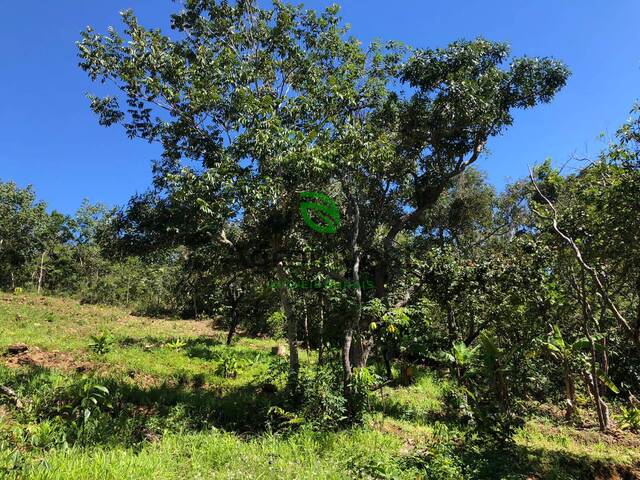 Venda em Zona Rural - Pirenópolis