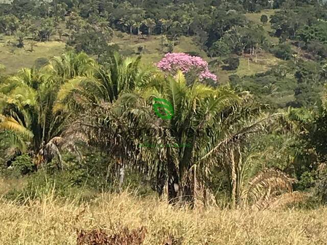 #833 - Sítio para Venda em Corumbá de Goiás - GO - 3