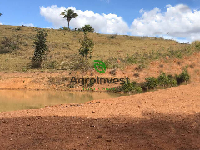 Sítio para Venda em Corumbá de Goiás - 5