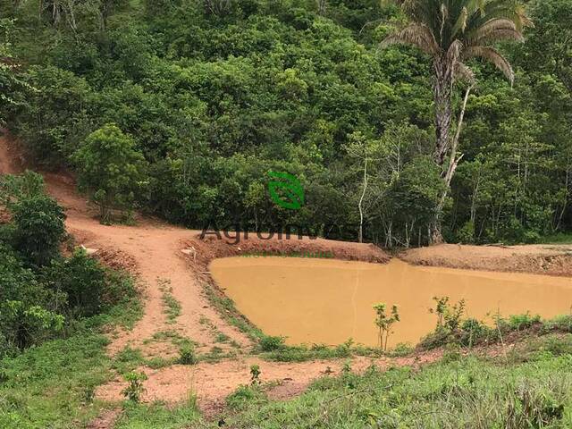 Sítio para Venda em Corumbá de Goiás - 4