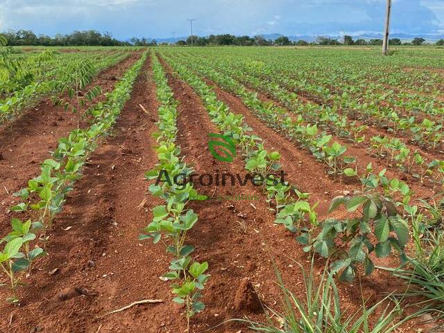 Fazenda para Venda em Niquelândia - 5