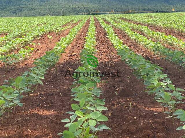 #843 - Fazenda para Venda em Niquelândia - GO - 2