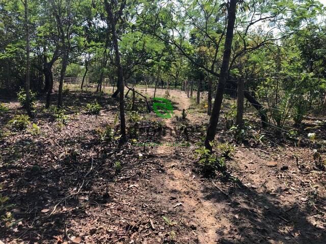 Fazenda para Venda em Barra do Ouro - 4