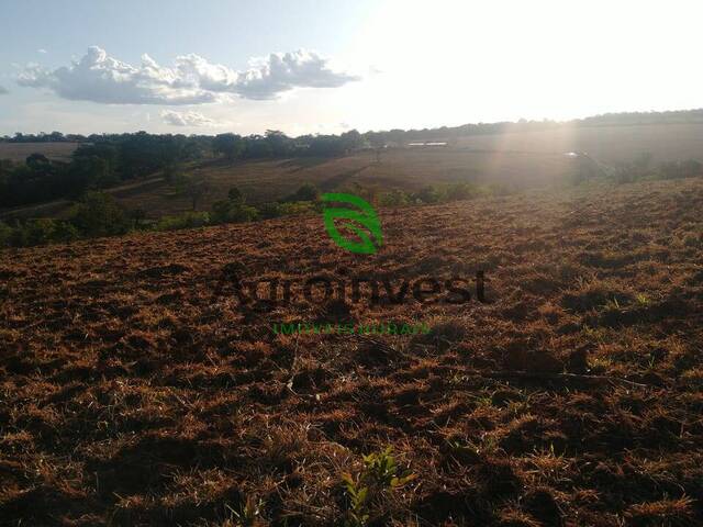 Fazenda para Venda em Pires do Rio - 4