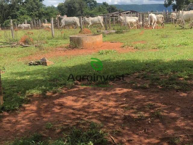 Fazenda para Venda em Minaçu - 4