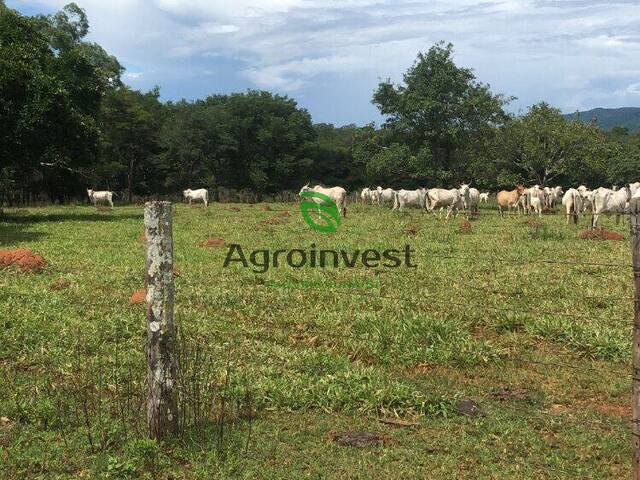 Fazenda para Venda em Minaçu - 5