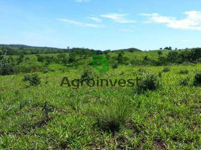 Fazenda para Venda em Ipameri - 4