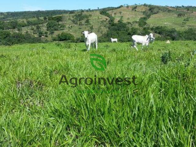 Fazenda para Venda em Ipameri - 5