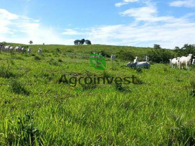 Venda em Zona Rural - Ipameri