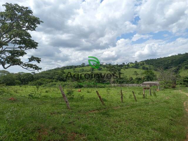 Venda em Zona Rural - São Miguel do Passa Quatro