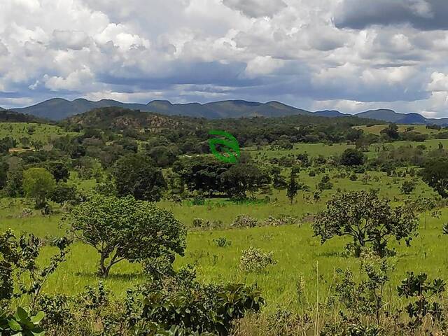 Venda em Zona Rural - Niquelândia