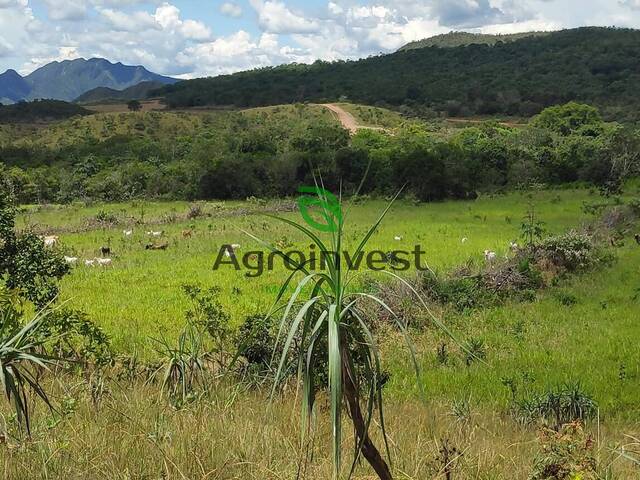 #909 - Fazenda para Venda em Niquelândia - GO - 3