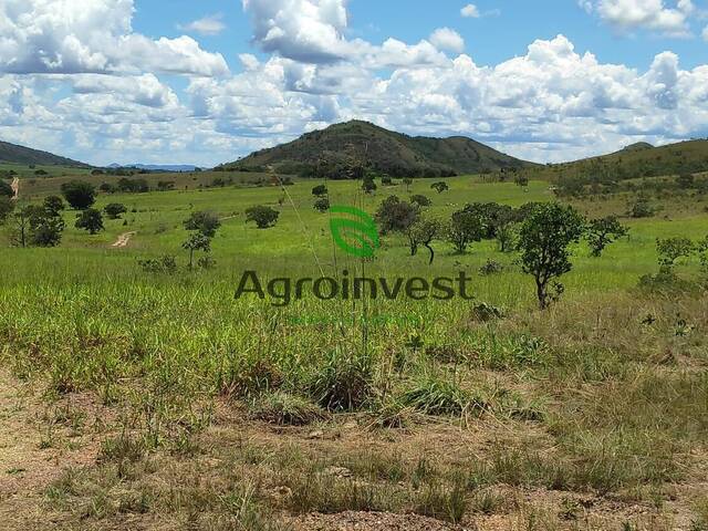 #909 - Fazenda para Venda em Niquelândia - GO - 2