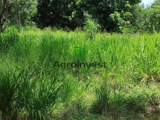 Fazenda para Venda em Niquelândia - 4