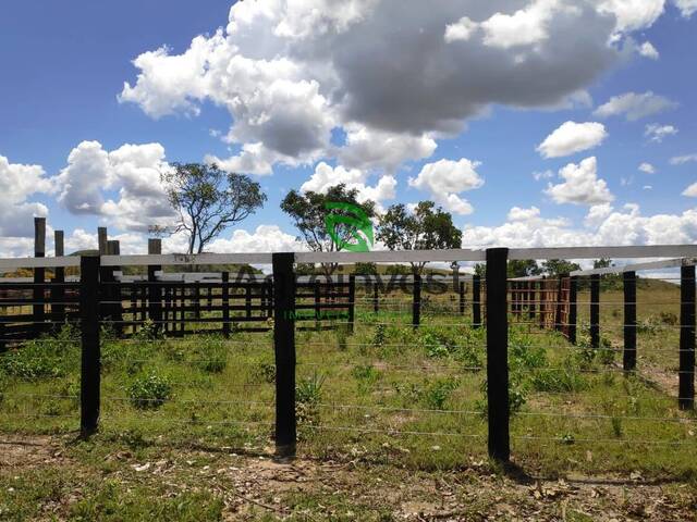 Fazenda para Venda em Niquelândia - 5