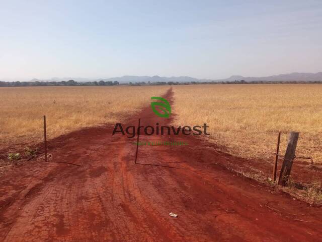 Venda em Zona Rural - Niquelândia