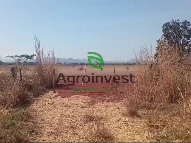 Fazenda para Venda em Niquelândia - 4