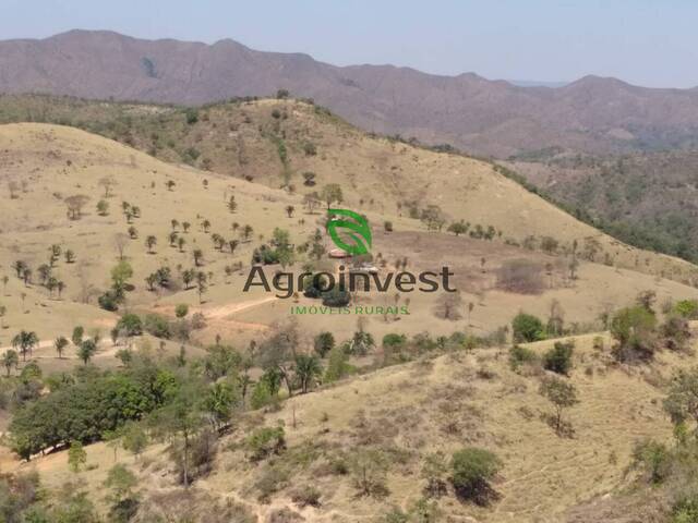 Fazenda para Venda em Niquelândia - 4