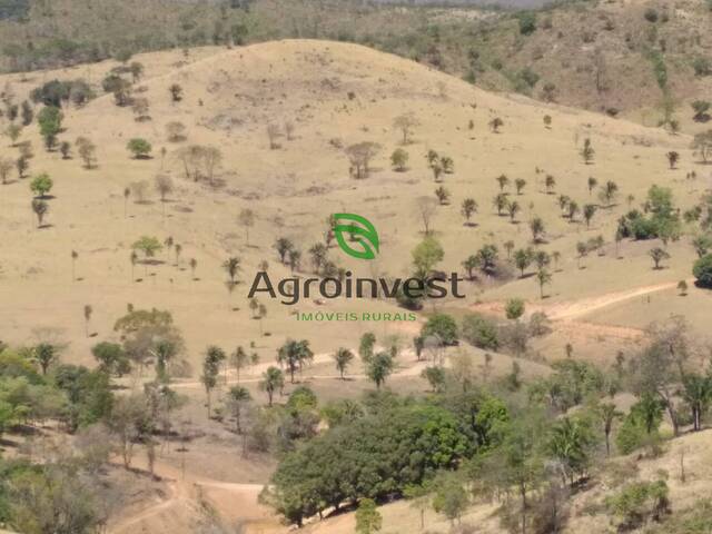 Fazenda para Venda em Niquelândia - 5