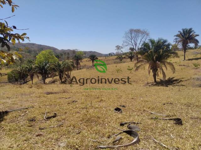 #918 - Fazenda para Venda em Niquelândia - GO