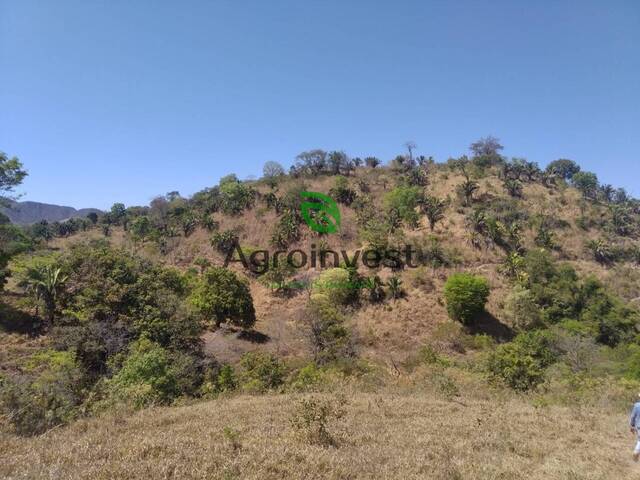 Fazenda para Venda em Niquelândia - 4