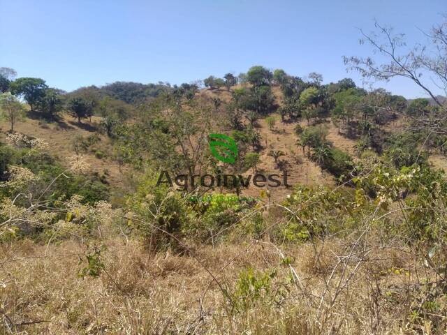 #920 - Fazenda para Venda em Niquelândia - GO - 1