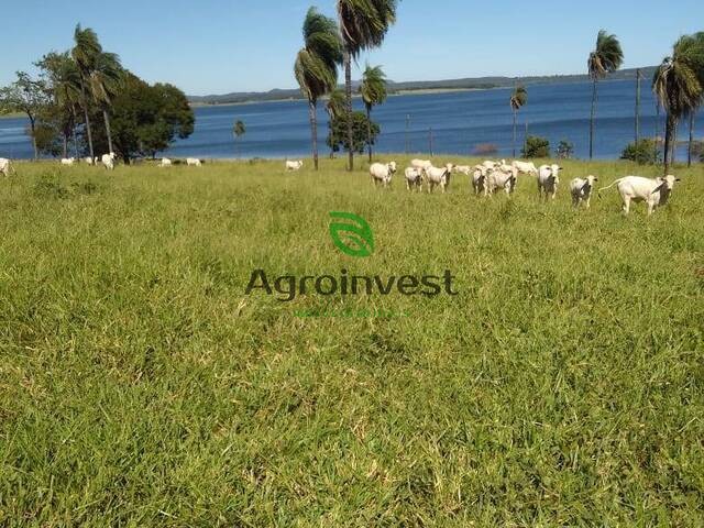 #936 - Fazenda para Venda em Niquelândia - GO - 1