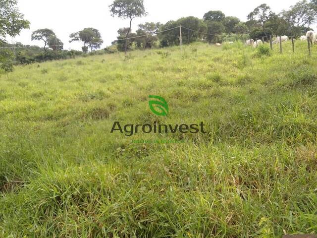 Fazenda para Venda em Niquelândia - 5