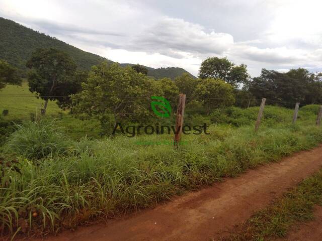 Fazenda para Venda em Niquelândia - 4