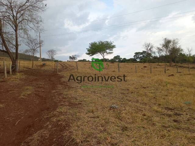 Fazenda para Venda em Niquelândia - 5