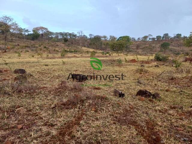 Fazenda para Venda em Niquelândia - 4