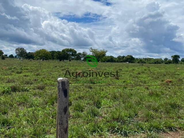 Venda em Zona Rural - Nova Crixás