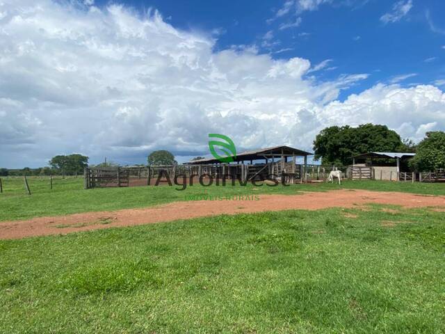 Fazenda para Venda em Nova Crixás - 4