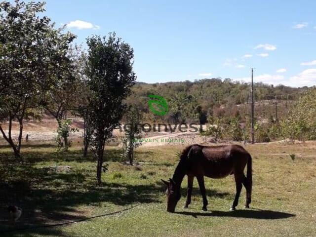 Sítio para Venda em Goiás - 5