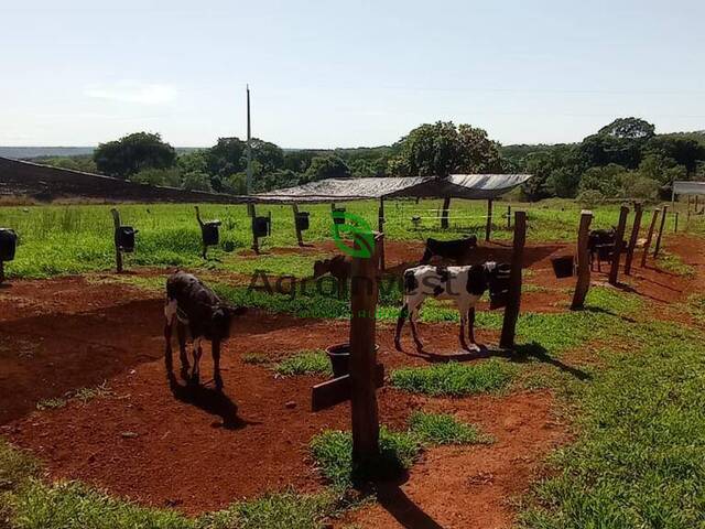 Venda em Zona Rural - São Miguel do Passa Quatro