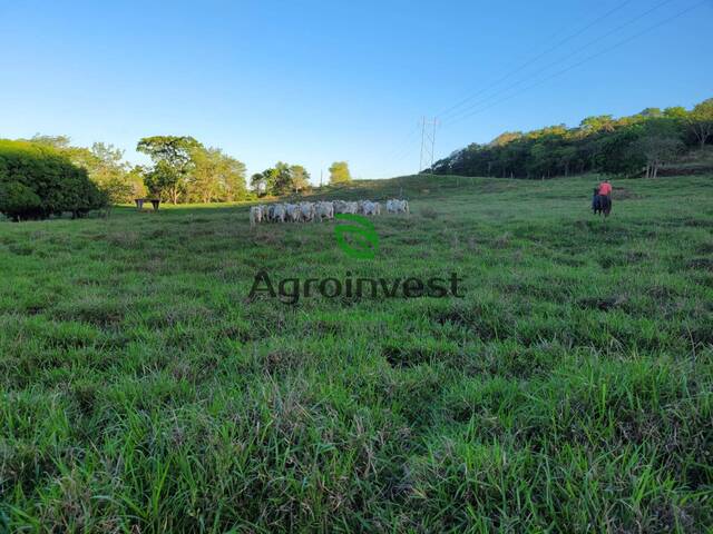 Fazenda para Venda em Santa Cruz de Goiás - 4