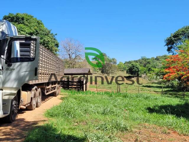 #997 - Fazenda para Venda em Santa Cruz de Goiás - GO - 2