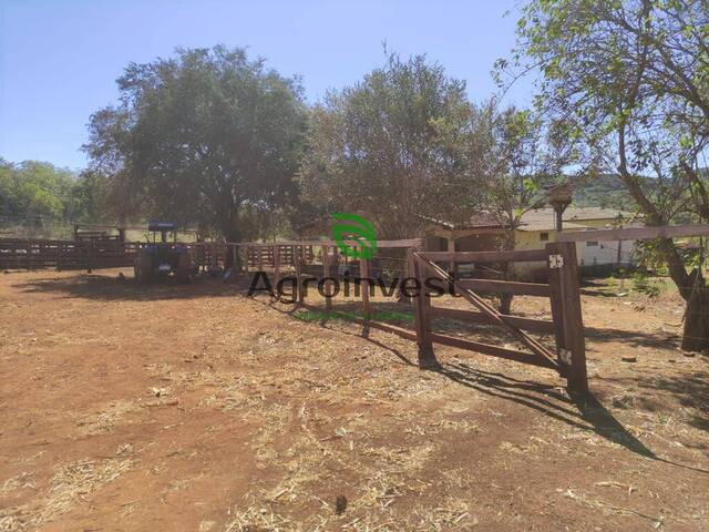 Fazenda para Venda em Niquelândia - 5