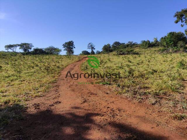 #998 - Fazenda para Venda em Niquelândia - GO - 2