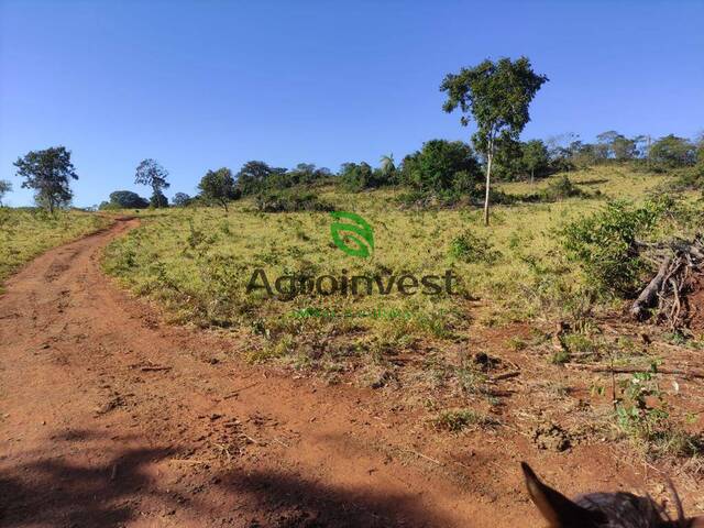 #998 - Fazenda para Venda em Niquelândia - GO - 3