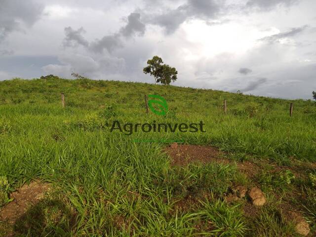 #1000 - Fazenda para Venda em Doverlândia - GO