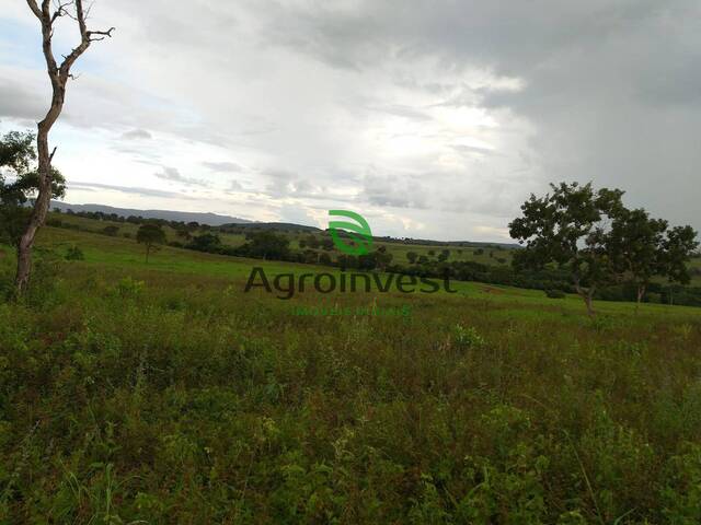 #1000 - Fazenda para Venda em Doverlândia - GO