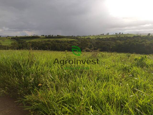 Fazenda para Venda em Doverlândia - 4