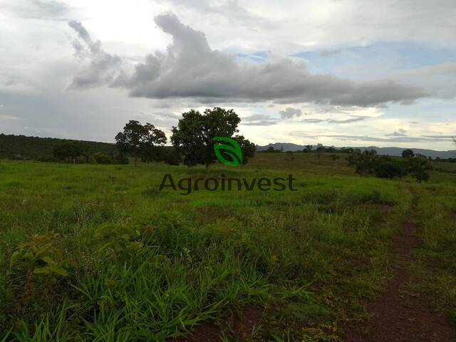 Fazenda para Venda em Doverlândia - 5