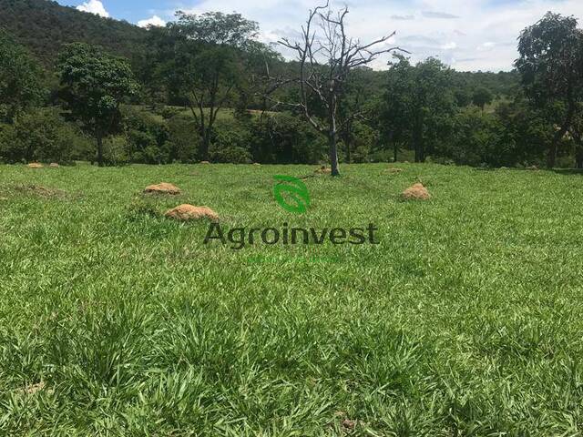 #1004 - Fazenda para Venda em Bela Vista de Goiás - GO