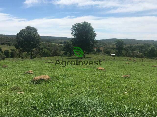 #1004 - Fazenda para Venda em Bela Vista de Goiás - GO