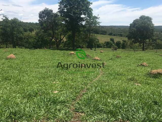 Fazenda para Venda em Bela Vista de Goiás - 4