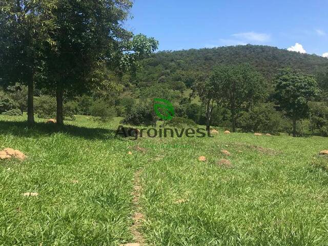 Fazenda para Venda em Bela Vista de Goiás - 5